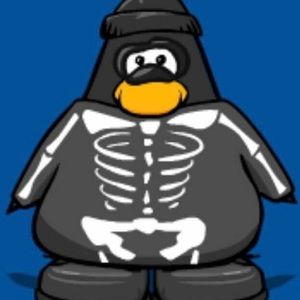 Meet your Posher, Seth